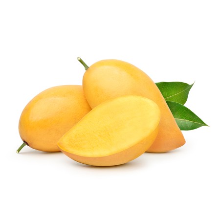 Java Mango Previous Next